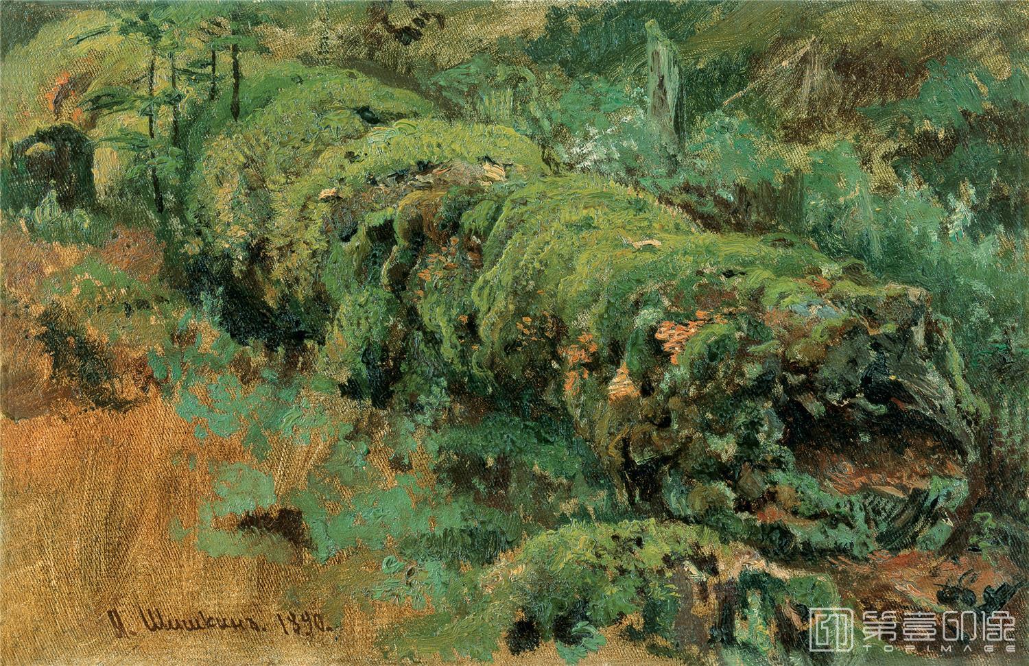 油画-伊凡·伊凡诺维奇·希施金 Ivan Shishkin作品集-05